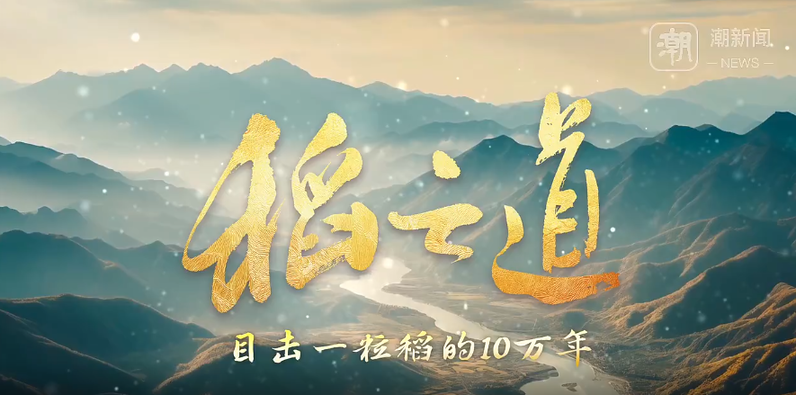 文化中国行｜稻之道，目击一粒稻的10万年