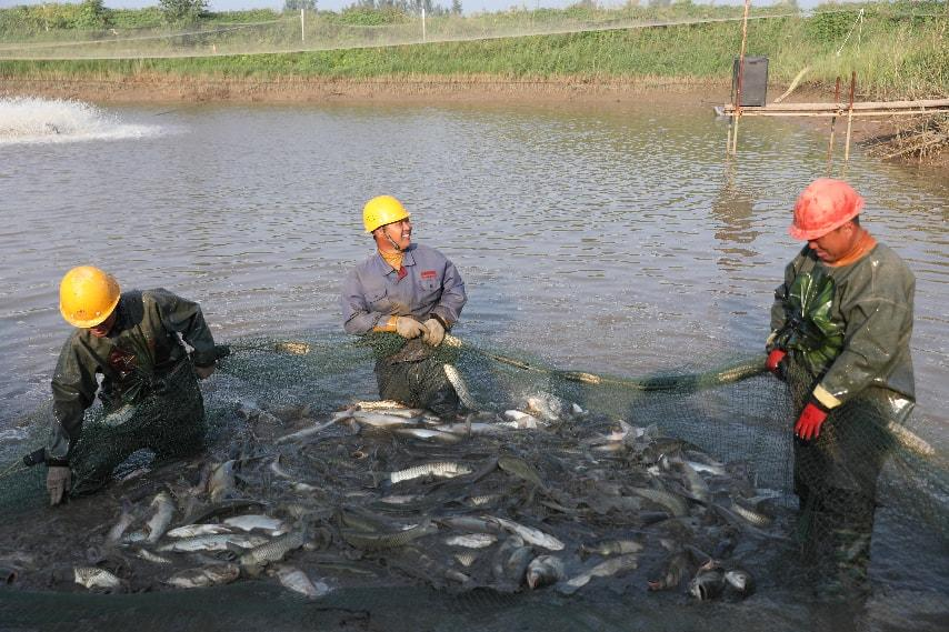 李方勇：美味香京城 赤心报桑梓
