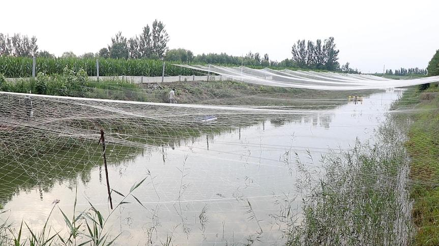 李方勇：美味香京城 赤心报桑梓