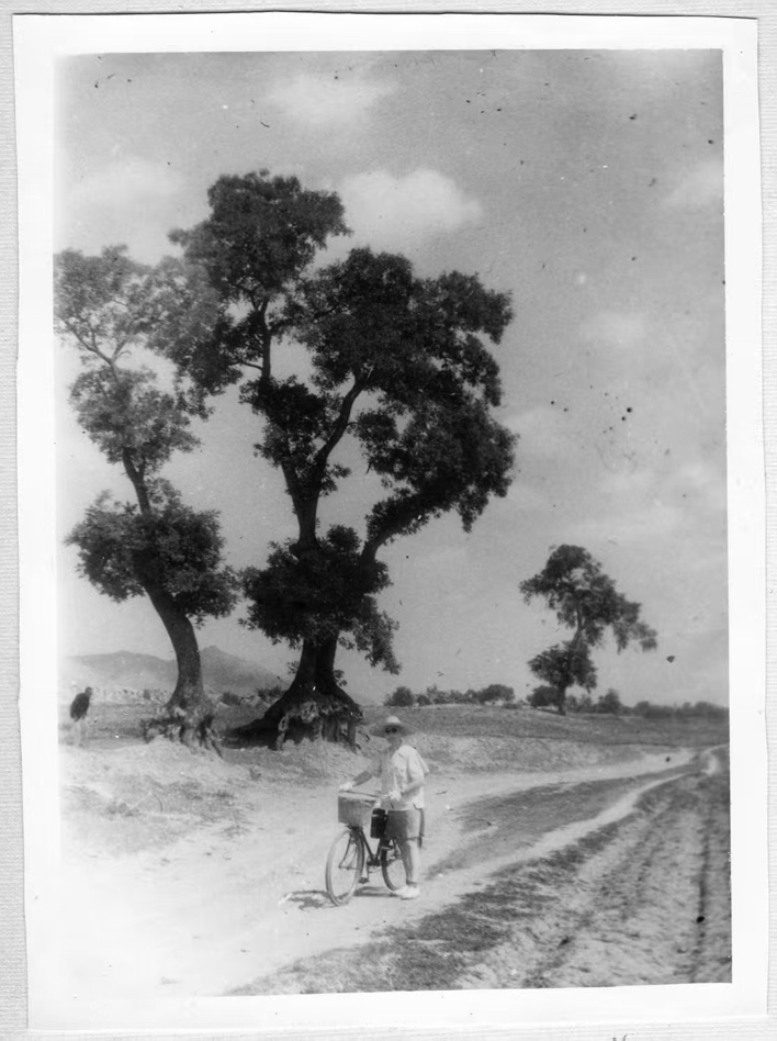 邀您共赴北平谍战传奇！“北京大视听”重点文艺项目广播剧《贝家花园》今日首播！