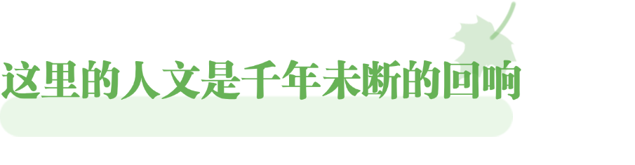 跟着“北京大视听”，邂逅新疆的所有美好