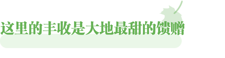 跟着“北京大视听”，邂逅新疆的所有美好