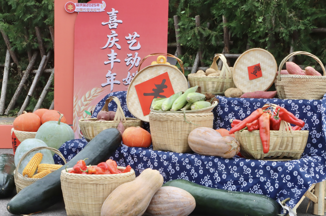 喜庆丰年 艺动妫川～延庆乡亲载歌载舞庆丰收——