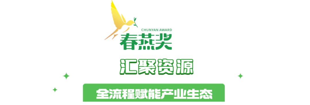 “春燕TALK”丨马黎:植根“北京大视听”沃土,北京动画如“春燕”般展翅翱翔
