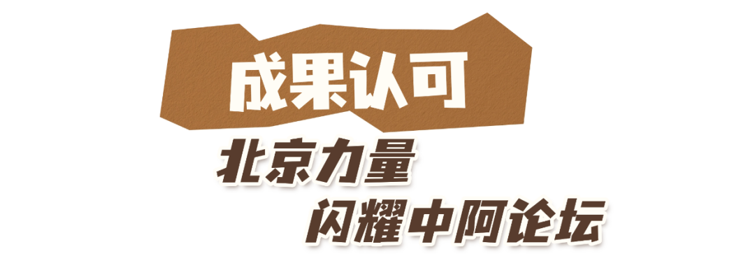 北京力量闪耀中阿论坛,这条“视听丝路”才是中阿交流的“文化密码”——