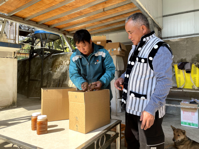 【“十五五”我所思·我所盼】 桑南才：盼着山里的邮路越来越通达