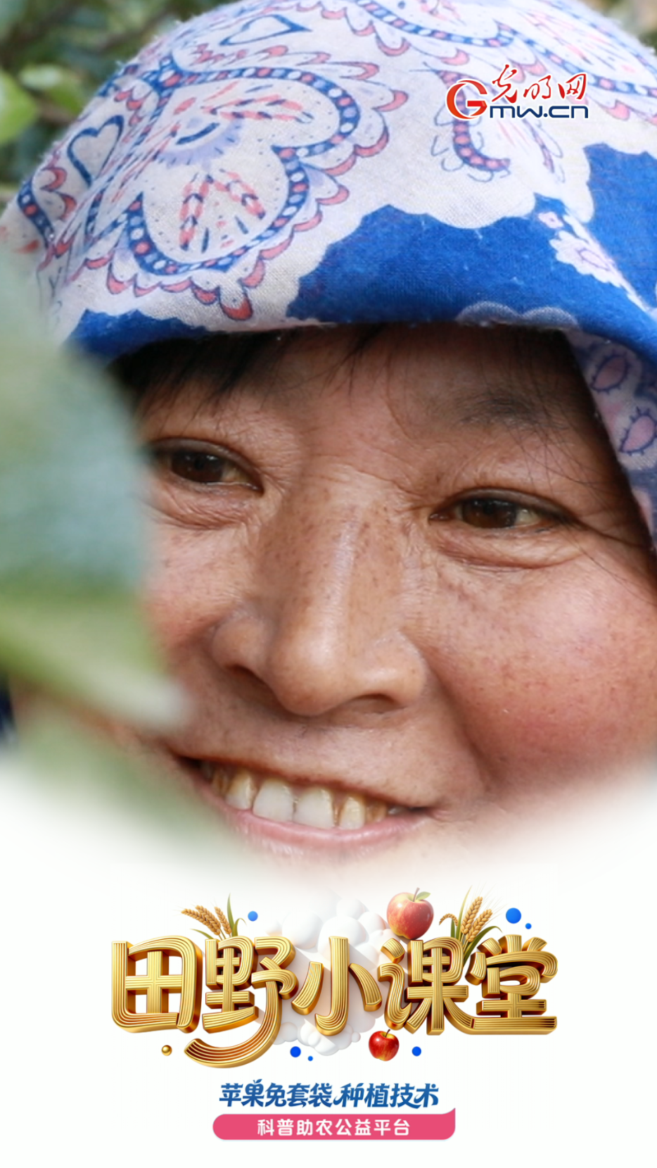 田野小课堂丨敷上“纳米面膜”的苹果，藏了这么多奥妙