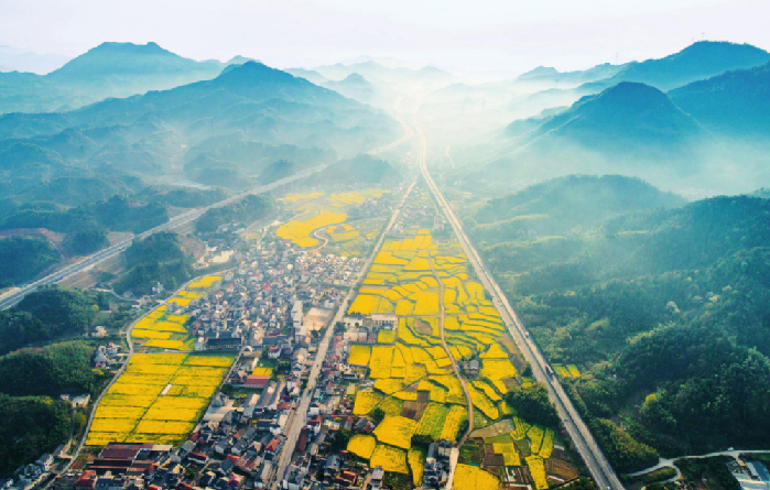 瞭望·第一学习丨深入学习贯彻习近平生态文明思想 加快建设美丽中国先行区