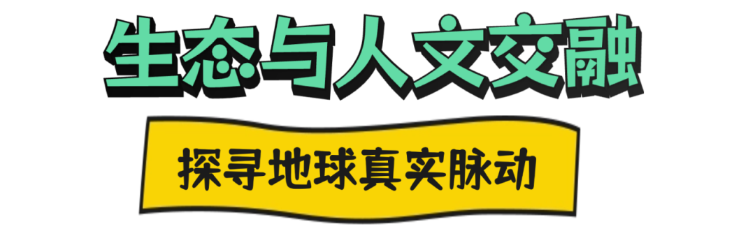 2025北京视听闪亮答卷|以“纪”为镜,网络纪录片映照时代经纬 稿定设计-2.png