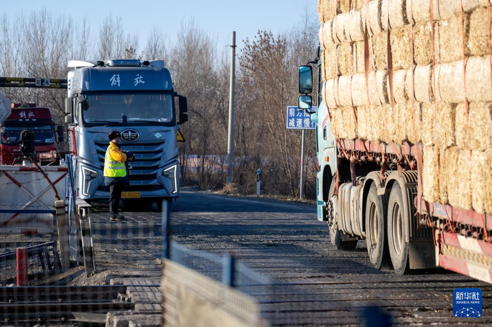 新春走基层丨老伙计和老道口共迎春运