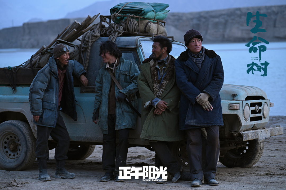 豆瓣8.3分、触达8.34亿人!《生命树》爆火,主创解密四大“破圈密码”