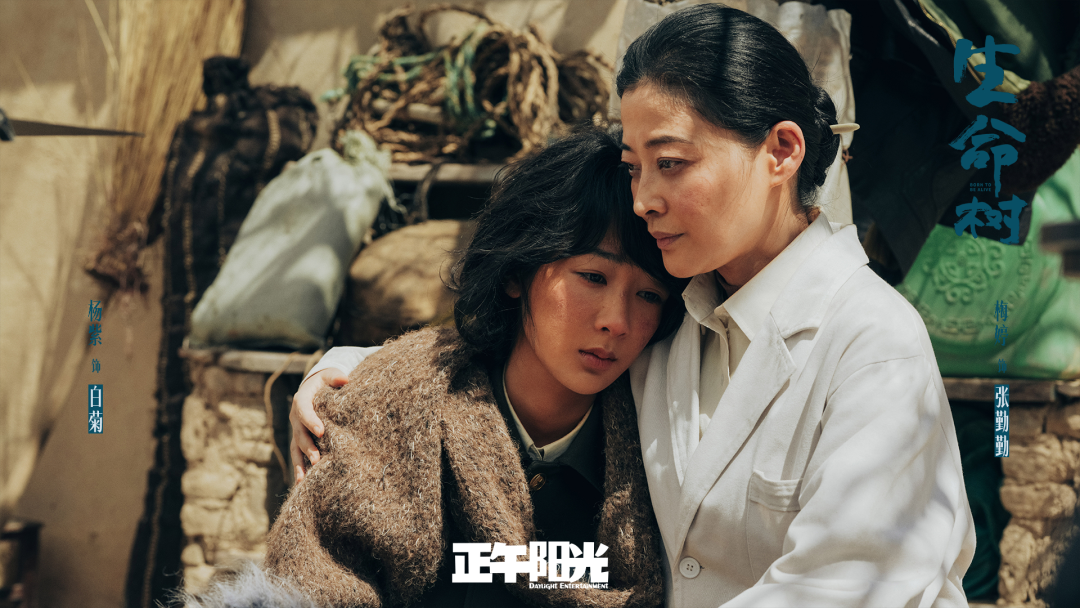 豆瓣8.3分、触达8.34亿人!《生命树》爆火,主创解密四大“破圈密码”