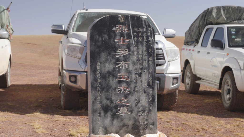 真实自有千钧力 揭秘《生命树》背后原型故事