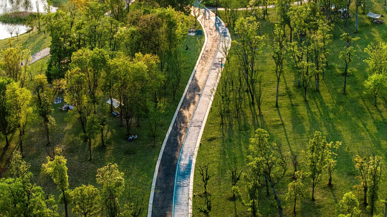 四川天府新区：从“首提地”到“走出去”