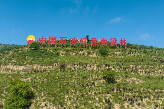 中国石油绘就能源开发与万物共荣和美画卷