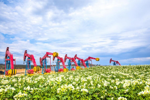 中国石油绘就能源开发与万物共荣和美画卷