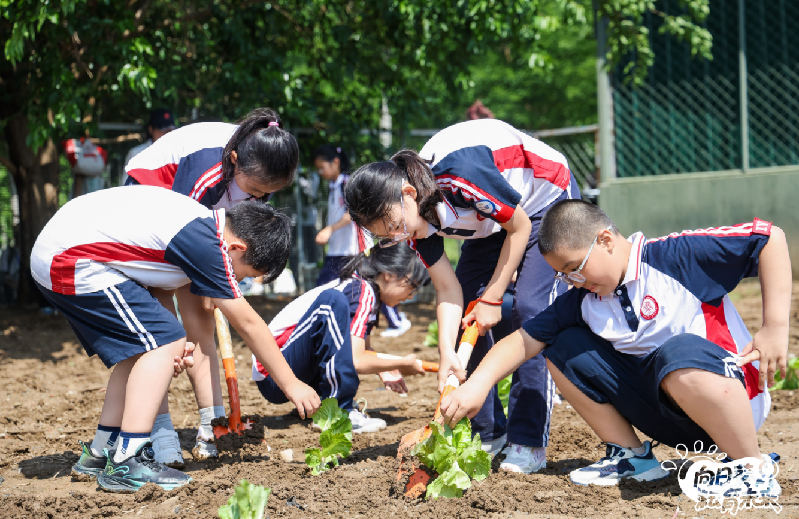 “向日葵·耘育未来”青少年科技农耕教育项目启动