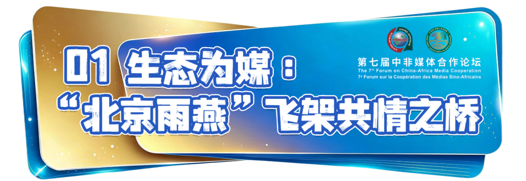 “信使”雨燕联结中非文明互鉴——北京视听IP全球化塑造交出新答卷