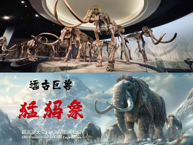 北京超高清视听·行|奥嘉科技:以超高清沉浸式技术,解锁文物展览全新打开方式