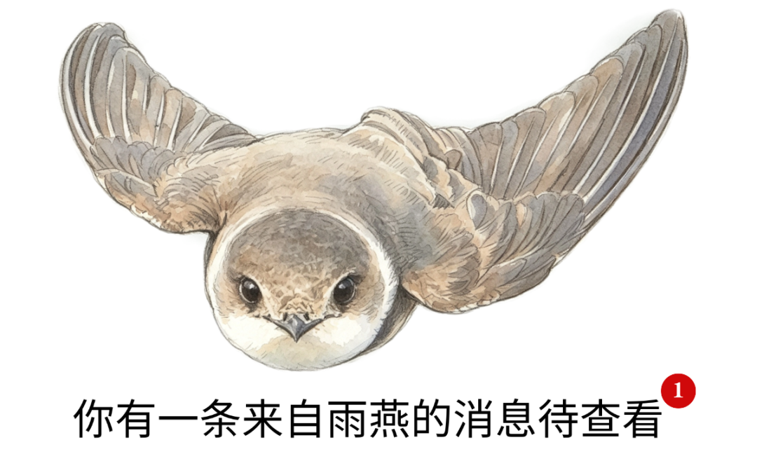 雨燕的跨洋来信:第七届中非媒体合作论坛,北京见!