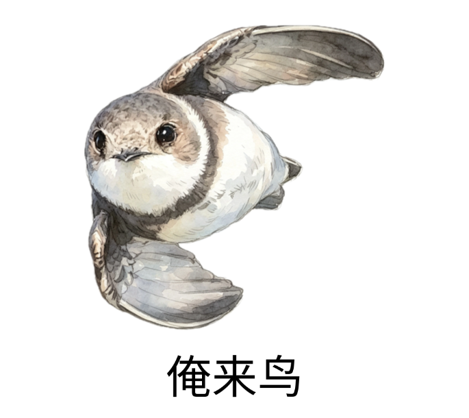 雨燕的跨洋来信:第七届中非媒体合作论坛,北京见!