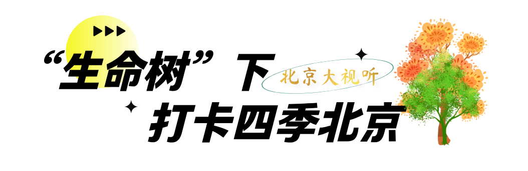 2026服贸会“北京大视听”展惊艳亮相首钢园 1.png