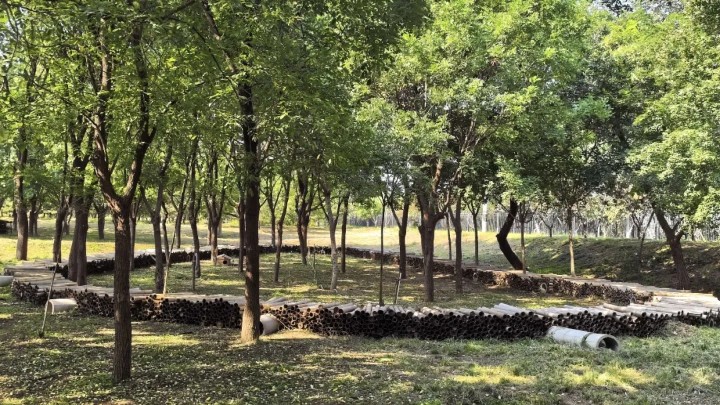 一条绿道,串起山水城 一条绿道,串起山水城