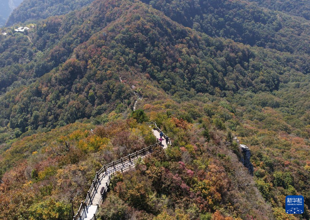 河南云台山:重阳将至 登高揽胜正当时