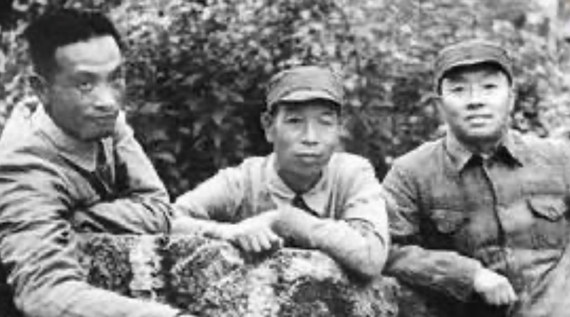 长征路上的科技力量 | 王诤:半部电台起家,一生征战为民 长征路上的科技力量 | 王诤:半部电台起家,一生征战为民